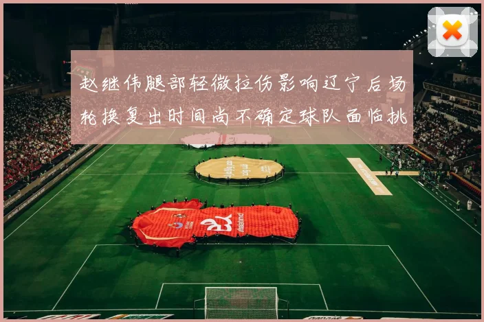赵继伟腿部轻微拉伤影响辽宁后场轮换复出时间尚不确定球队面临挑战